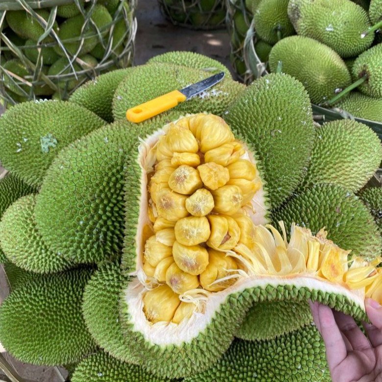 Mít tố nữ Long Khánh